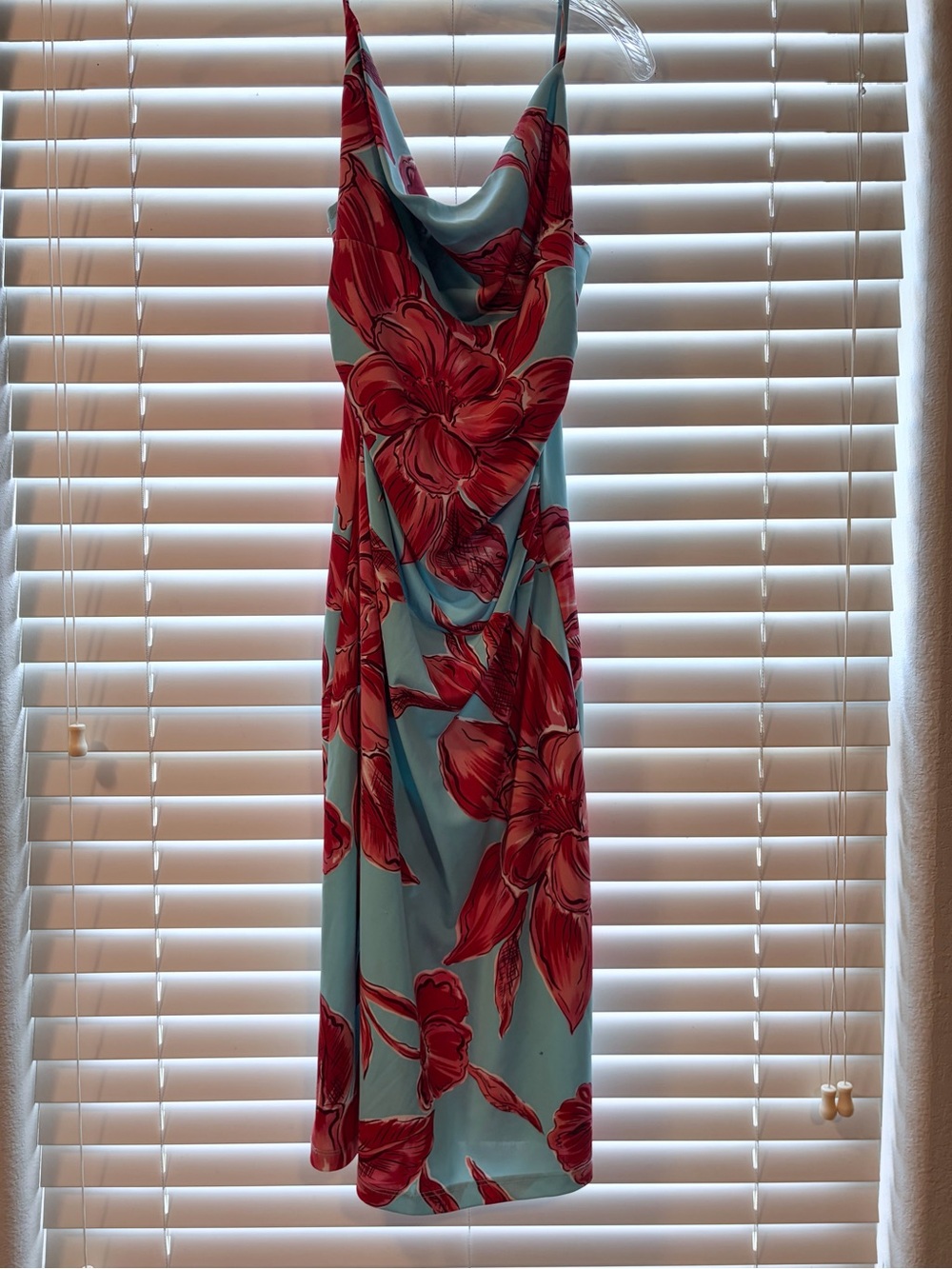 Light Blue Midi Slip Dress with Red Floral Print